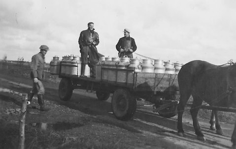 世界知名有机乳品生产商